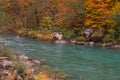 Tara river in the Canyon near ÃÂurÃâeviÃâ¡a Tara Bridge, Montenegro - autumn picture